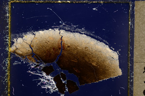 Cross Polarized, E21696