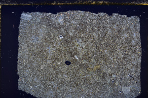 Cross Polarized, E21697