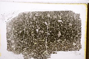 Plane Polarized, E21702
