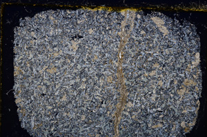 Cross Polarized, E21705