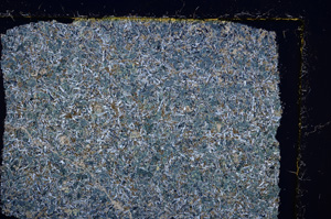 Cross Polarized, E21706