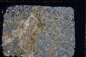 Cross Polarized, E21707