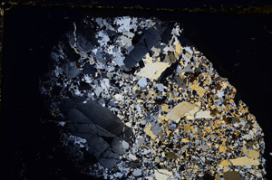 Cross Polarized, E21716