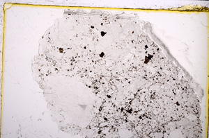 Plane Polarized, E21716