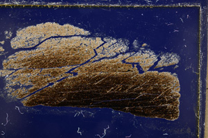 Cross Polarized, E21717