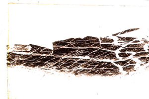 Plane Polarized, E21718