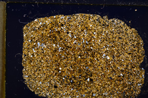 Cross Polarized, E21719