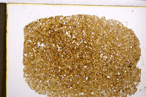 Plane Polarized, E21719