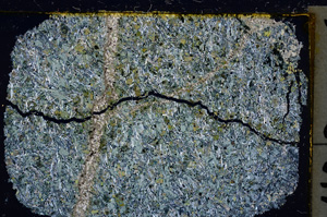 Cross Polarized, E21722