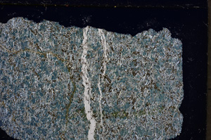 Cross Polarized, E21723
