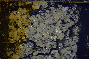 Cross Polarized, E21727