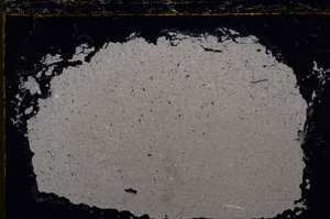 Cross Polarized, E21728