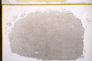 Plane Polarized, E21728