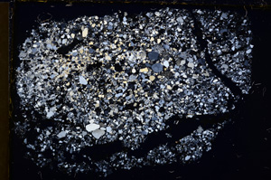 Cross Polarized, E21732