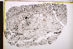 Plane Polarized, E21732