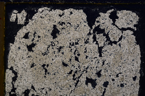 Cross Polarized, E21733