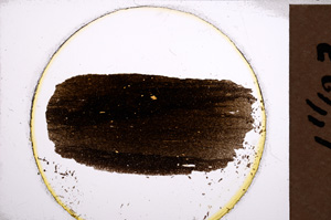 Plane Polarized, E21741