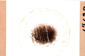 Plane Polarized, E21743