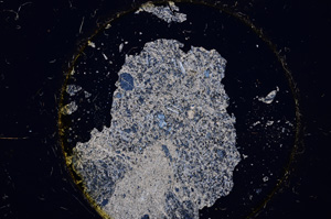 Cross Polarized, E21784