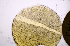 Plane Polarized, E21786