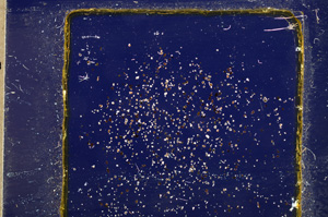 Cross Polarized, E21793