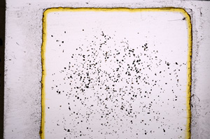 Plane Polarized, E21793