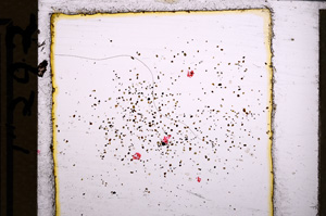 Plane Polarized, E21797