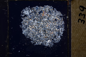 Cross Polarized, E21835