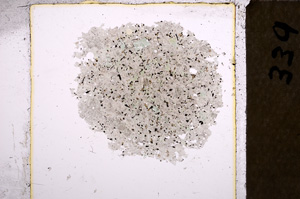 Plane Polarized, E21835