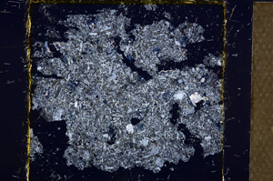 Cross Polarized, E21838