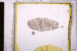 Plane Polarized, E21839