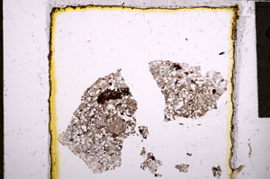 Plane Polarized, E21854