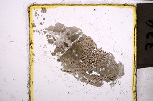 Plane Polarized, E21855