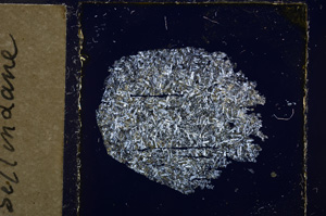 Cross Polarized, E21863