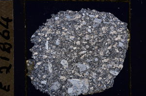 Cross Polarized, E21864