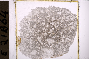 Plane Polarized, E21864