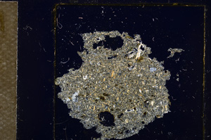 Cross Polarized, E21865