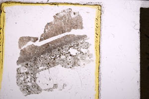 Plane Polarized, E21912