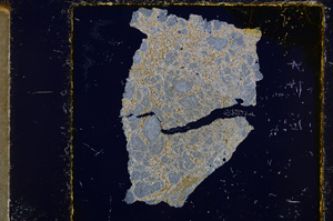 Cross Polarized, E21923