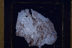 Cross Polarized, E21963