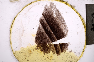 Plane Polarized, E21977