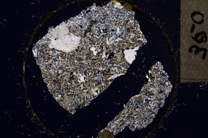 Cross Polarized, E21978