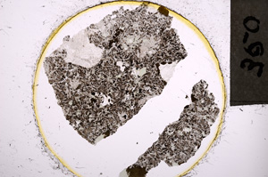 Plane Polarized, E21978