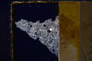 Cross Polarized, E21981