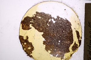 Plane Polarized, E21982