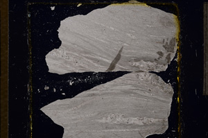 Cross Polarized, E21986