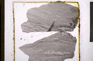 Plane Polarized, E21986