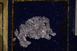 Cross Polarized, E21990