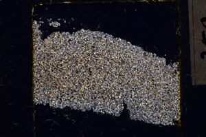 Cross Polarized, E21994