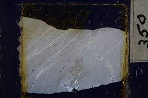 Cross Polarized, E21999